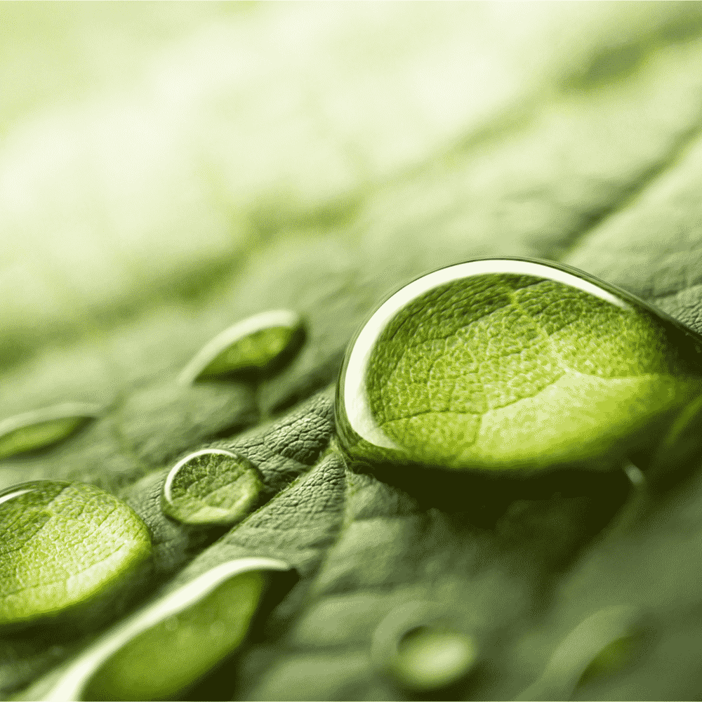 Calming Aloe Hydrator, hydrator