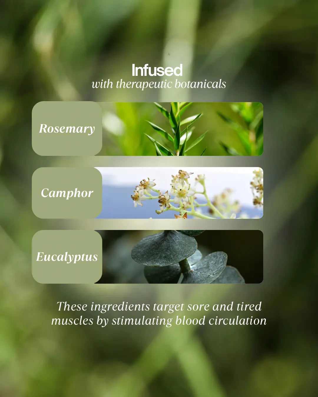Herbal product with images of rosemary, camphor, and eucalyptus leaves and flowers on a green background.