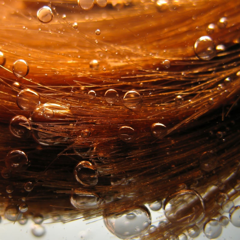 Balancing Shampoo, shampoo