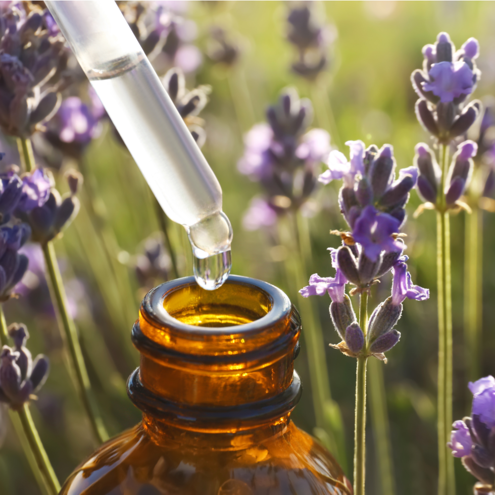 Amber glass bottle with dropper over lavender flowers